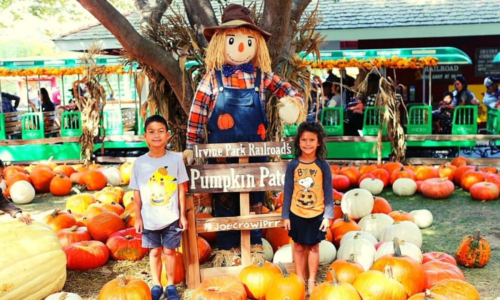 pumpkin patch irvine ca