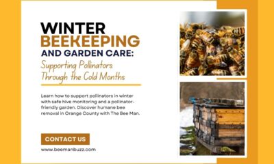 Winter-Beekeeping-and-Garden-Care-Supporting-Pollinators-Through-the-Cold-Months-1200-x-800